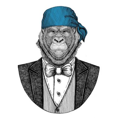 Goril, maymun, maymun vahşi motorcu, korsan hayvan giyen bandana el çizilmiş resim için dövme, amblem, rozet, logo, yama, t-shirt