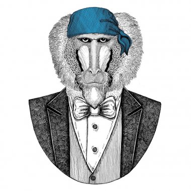 Maymun, maymun, köpek-maymun, maymun vahşi motorcu, korsan hayvan giyen bandana el çizilmiş resim için dövme, amblem, rozet, logo, yama, t-shirt