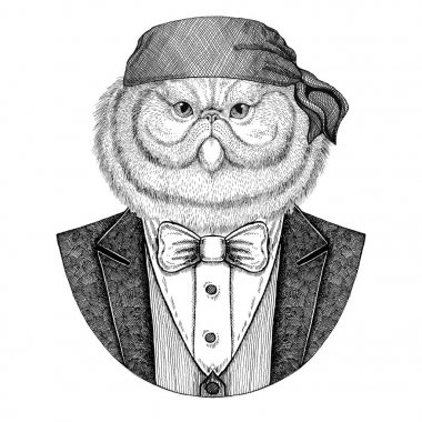 Kedi, Farsça kedi, Farsça kedi vahşi motorcu, korsan hayvan giyen bandana el çizilmiş resim dövme, amblem, rozet, logo, yama, t-shirt için portresi