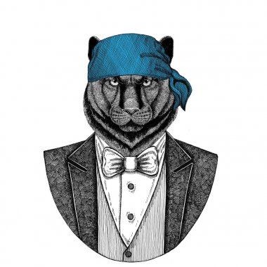 Panter, puma, puma, kedi vahşi motorcu, korsan hayvan giyen bandana el çizilmiş resim için dövme, amblem, rozet, logo, yama, t-shirt
