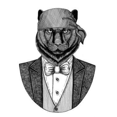 Panter, puma, puma, kedi vahşi motorcu, korsan hayvan giyen bandana el çizilmiş resim için dövme, amblem, rozet, logo, yama, t-shirt