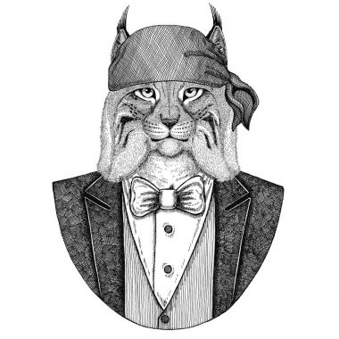 Vahşi kedi Lynx Bobcat tırıs vahşi motorcu, korsan hayvan giyen bandana el çizilmiş resim dövme, amblem, rozet, logo, yama, t-shirt için