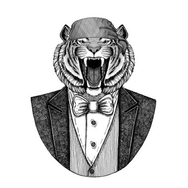 Vahşi Kaplan vahşi motorcu, korsan hayvan giyen bandana el çizilmiş resim için dövme, amblem, rozet, logo, yama, t-shirt