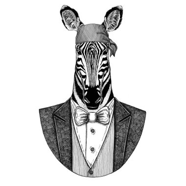 Zebra, at vahşi motorcu, korsan hayvan giyen bandana el çizilmiş resim için dövme, amblem, rozet, logo, yama, t-shirt