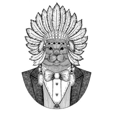 Brithish asil kedi erkek vahşi hayvan giyen inidan şapka, kafa tüyleri ile dövme, t-shirt, amblem, rozet, logo, yama için elle çizilmiş resmi elbise