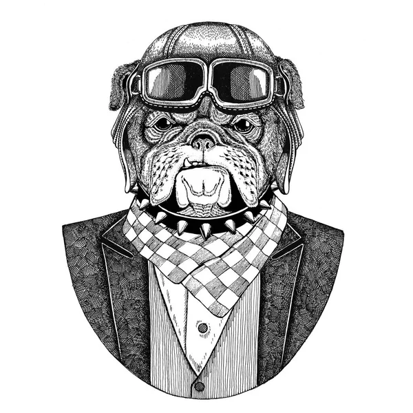 Bulldog Dog Animal usando capacete aviador e jaqueta com gravata borboleta Clube de voo ilustração desenhada à mão para tatuagem, t-shirt, emblema, logotipo, crachá, patch — Fotografia de Stock