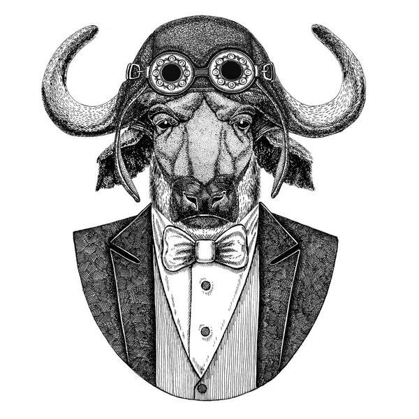 Buffalo, bull, ox dierlijke dragen vlieger helm en vest met bow tie Flying club Hand getrokken illustratie voor tattoo, t-shirt, embleem, logo, badge, patch — Stockfoto