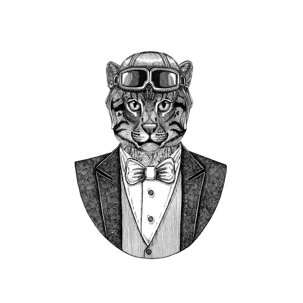 Wild cat Fishing cat Animal wearing aviator helmet and jacket with bow tie Flying club Hand drawn illustration for tattoo, t-shirt, emblem, logo, badge, patch — Stock Photo, Image