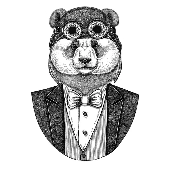 Панда ведмідь, бамбуковий ведмідь Тварина в шоломі авіатора і піджак з краваткою Літаючий клуб Ручна намальована ілюстрація для татуювання, футболки, емблеми, логотипу, значка, патч — стокове фото