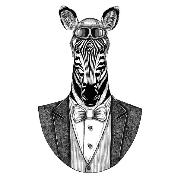 Zebra Cavalo Animal usando capacete aviador e jaqueta com gravata borboleta Clube de voo ilustração desenhada à mão para tatuagem, t-shirt, emblema, logotipo, crachá, patch — Fotografia de Stock