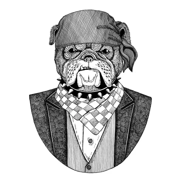 Μπουλντόγκ, άγριο σκυλί ποδηλάτης, πειρατής ζώο φορώντας μπαντάνα χέρι συρμένο εικόνα για τατουάζ, έμβλημα, σήμα, λογότυπο, patch, t-shirt — Φωτογραφία Αρχείου