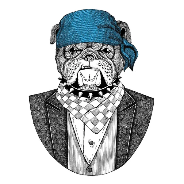 Bulldog, perro motorista salvaje, animal pirata con bandana Imagen dibujada a mano para tatuaje, emblema, insignia, logotipo, parche, camiseta —  Fotos de Stock