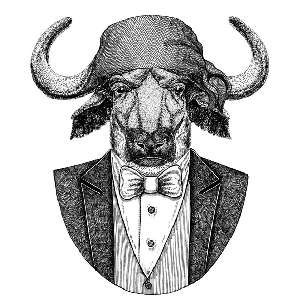 Buffalo, tjur, ox Björn, grizzlybjörn vilda biker, pirat djur bära bandana handen ritade bilden för tatuering, emblem, badge, logotyp, plåster, t-shirt — Stockfoto