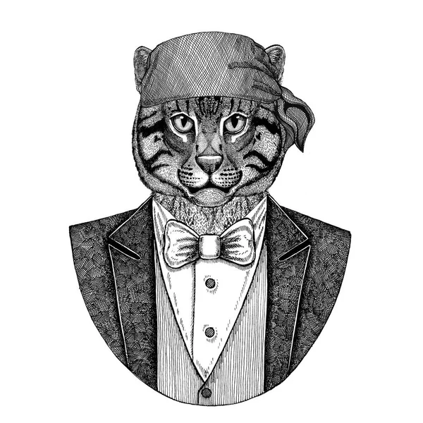 야생 고양이, 고양이 곰, 그리 즐 리 베어 와일드 바이 커, 해 적 동물 두건 손으로 그려진된 이미지 문신, 휘장, 배지, 로고, 패치, t-셔츠를 입고 낚시 — 스톡 사진