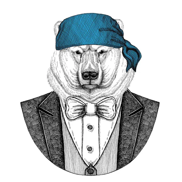 Medve, jegesmedve Wild motoros, kalóz állati viselése tarka selyemkendő kézzel rajzolt kép tetoválás, jelkép, jelvény, embléma, javítás, póló — Stock Fotó