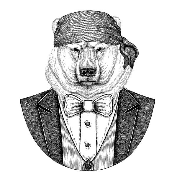 Orso, orso polare Ciclista selvaggio, animale pirata indossando bandana Immagine disegnata a mano per tatuaggio, emblema, distintivo, logo, patch, t-shirt — Foto Stock