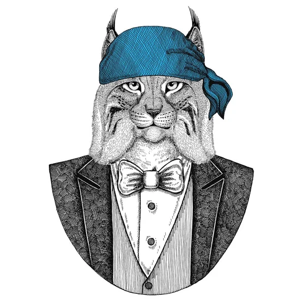 Gato selvagem Lynx Bobcat Trot Motociclista selvagem, animal pirata vestindo bandana Imagem desenhada à mão para tatuagem, emblema, crachá, logotipo, patch, t-shirt — Fotografia de Stock