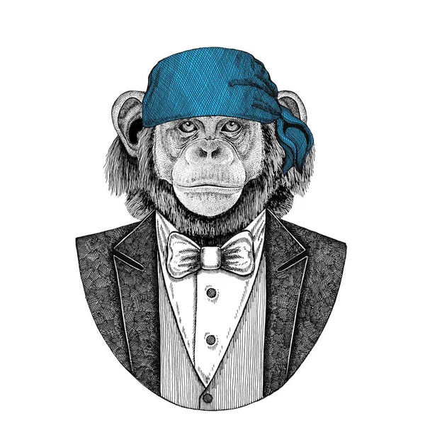 Schimpans, monkey vilda biker, pirat djur bär bandana handen ritade bilden för tatuering, emblem, badge, logotyp, patch, t-shirt — Stockfoto