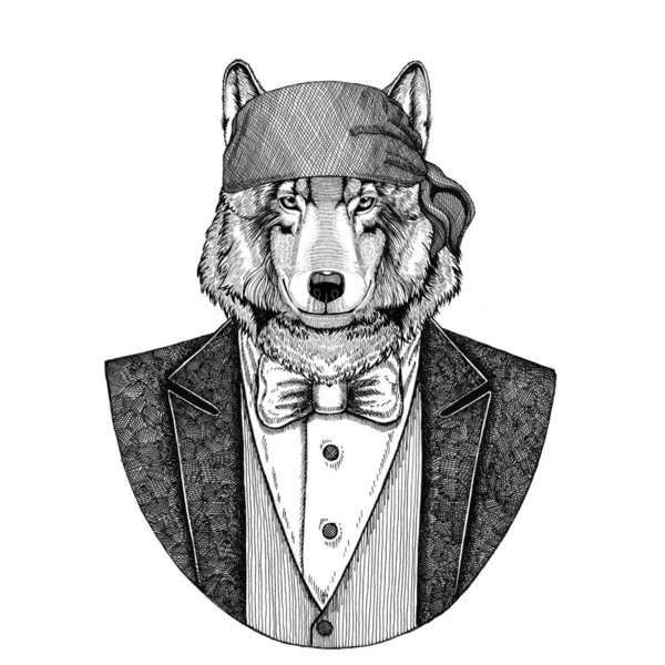 Wolf Dog Wild motorista, animal pirata con bandana Imagen dibujada a mano para tatuaje, emblema, insignia, logotipo, parche, camiseta —  Fotos de Stock