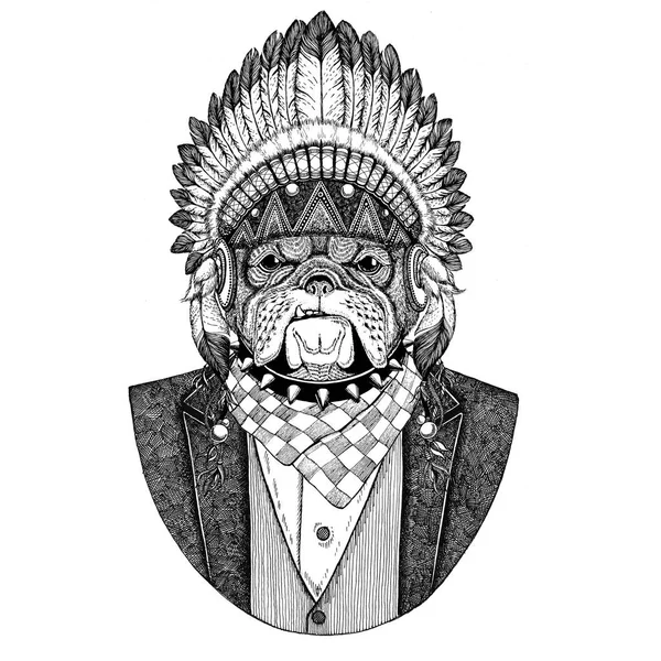 Bulldogge, Hund wildes Tier mit inidan Hut, Kopfbedeckung mit Federn handgezeichnetes Bild für Tätowierung, T-Shirt, Emblem, Abzeichen, Logo, Aufnäher — Stockfoto