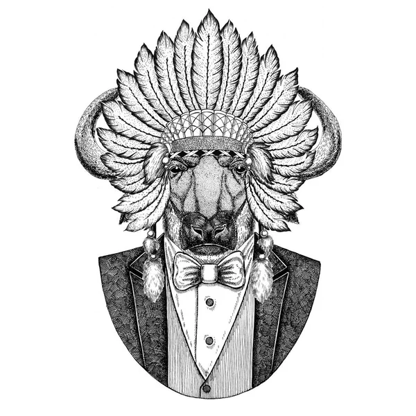 Buffalo, touro, boi Animal selvagem usando chapéu inidan, vestido de cabeça com penas Imagem desenhada à mão para tatuagem, t-shirt, emblema, crachá, logotipo, patch — Fotografia de Stock