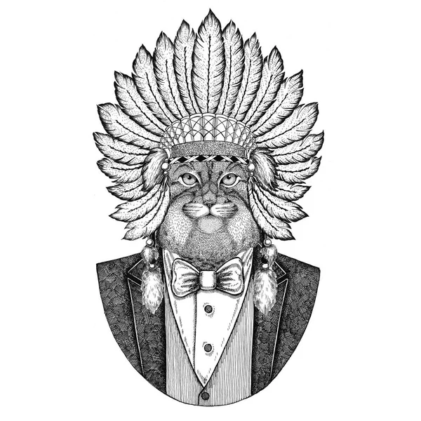 羽手描画イメージのタトゥー、t シャツ、エンブレム、バッジ、ロゴ、パッチで野生の猫マヌルネコ野生動物の身に着けている inidan 帽子、ヘッド ドレスします。 — ストック写真