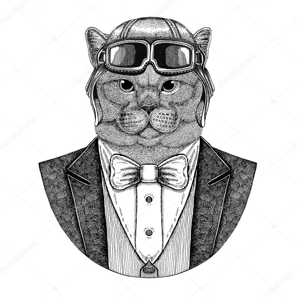 Brithish noble cat Male Animal wearing aviator helmet and jacket with bow tie Flying club Hand drawn illustration for tattoo, t-shirt, emblem, logo, badge, patch