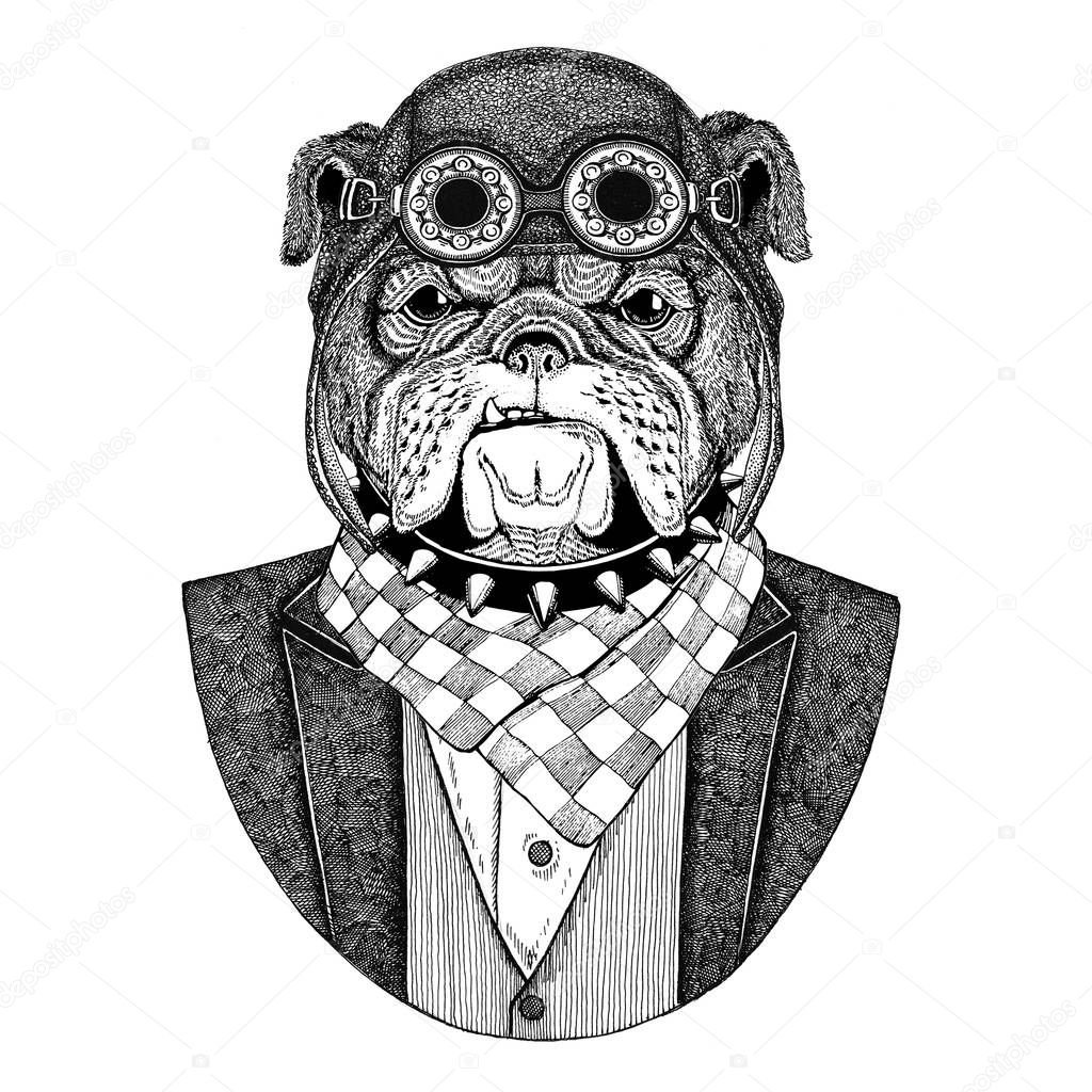 Bulldog Dog Animal wearing aviator helmet and jacket with bow tie Flying club Hand drawn illustration for tattoo, t-shirt, emblem, logo, badge, patch