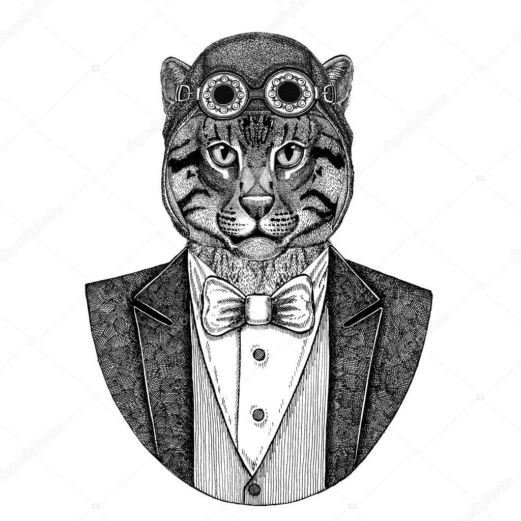 Wild cat Fishing cat Animal wearing aviator helmet and jacket with bow tie Flying club Hand drawn illustration for tattoo, t-shirt, emblem, logo, badge, patch