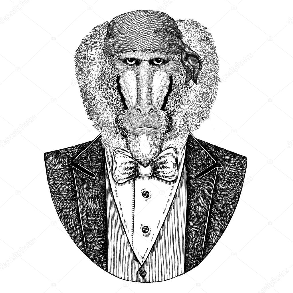 Wild biker, pirate animal wearing bandana Hand drawn image for tattoo, emblem, badge, logo, patch