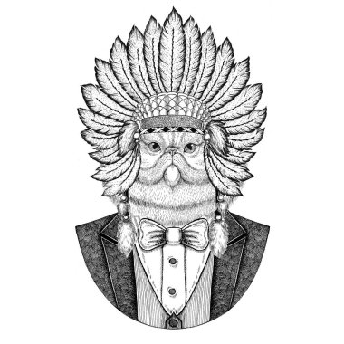 Kabarık Farsça kedi vahşi hayvan giyen inidan şapka portresi, kafa tüyleri el çizilmiş resim dövme, t-shirt, amblem, rozet, logo, yama ile elbise