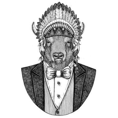 Buffalo, bison, öküz, vahşi hayvan giyen inidan şapka boğa, eşarplı baş elbise el dövme, t-shirt, amblem, rozet, logo, yama için çizilmiş resim