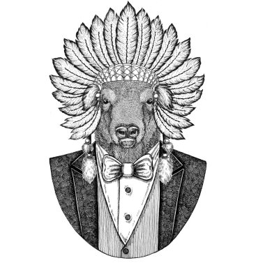 Buffalo, bison, öküz, vahşi hayvan giyen inidan şapka boğa, eşarplı baş elbise el dövme, t-shirt, amblem, rozet, logo, yama için çizilmiş resim