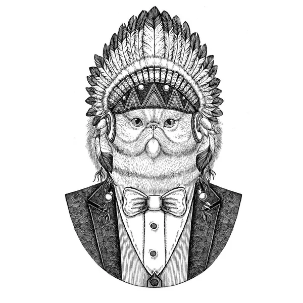 Kabarık Farsça kedi vahşi hayvan giyen inidan şapka portresi, kafa tüyleri el çizilmiş resim dövme, t-shirt, amblem, rozet, logo, yama ile elbise