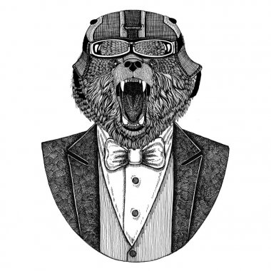 Boz ayı. Rus ayısı. Papyon ve motosiklet kask ya da aviatior kask ile ceket hayvan. Şık motorcu, motosiklet binici. El dövme, t-shirt, amblem, rozet, logo, yama için resim çekilmiş