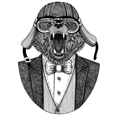 Boz ayı. Rus ayısı. Papyon ve motosiklet kask ya da aviatior kask ile ceket hayvan. Şık motorcu, motosiklet binici. El dövme, t-shirt, amblem, rozet, logo, yama için resim çekilmiş