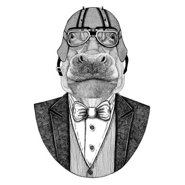 Su aygırı, behemoth, papyon ve motosiklet kask ya da aviatior kask ile ceket nehir-at hayvan. Şık motorcu, motosiklet binici. El dövme, t-shirt, amblemler, rozet, logo, yama için resim çekilmiş