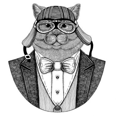 Brithish kedi. Zarif hayvan. Papyon ve motosiklet kask ya da aviatior kask ile ceket hayvan. Şık motorcu, motosiklet binici. Dövme, t-shirt, amblem, rozet, logo, yamalar için görüntü