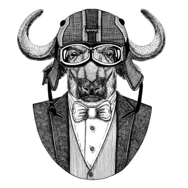 Buffalo, boğa, boğa hayvan giyen ceket papyon ve motosiklet kask ya da aviatior kask ile. Şık motorcu, motosiklet binici, havacı. Dövme, t-shirt, amblem, rozet, logo, yama için görüntü