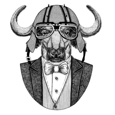 Buffalo, boğa, boğa hayvan giyen ceket papyon ve motosiklet kask ya da aviatior kask ile. Şık motorcu, motosiklet binici, havacı. Dövme, t-shirt, amblem, rozet, logo, yama için görüntü