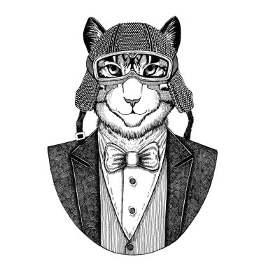 Yerli kedi hayvan giyen ceketle papyon ve motosiklet kask ya da aviatior kask görüntüsü. Şık motorcu, motosiklet binici, havacı. Dövme, t-shirt, amblem, rozet, logo, yama için görüntü