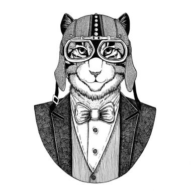 Yerli kedi hayvan giyen ceketle papyon ve motosiklet kask ya da aviatior kask görüntüsü. Şık motorcu, motosiklet binici, havacı. Dövme, t-shirt, amblem, rozet, logo, yama için görüntü