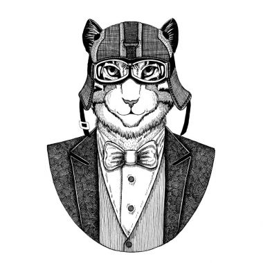 Yerli kedi hayvan giyen ceketle papyon ve motosiklet kask ya da aviatior kask görüntüsü. Şık motorcu, motosiklet binici, havacı. Dövme, t-shirt, amblem, rozet, logo, yama için görüntü