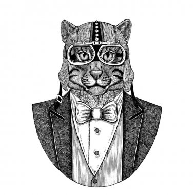Vahşi kedi balıkçı kedi hayvan giyen ceketle papyon ve motosiklet kask ya da aviatior kask. Şık motorcu, motosiklet binici, havacı. Dövme, t-shirt, amblem, rozet, logo, yama için görüntü