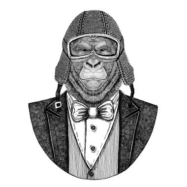 Goril, maymun, maymun. Papyon ve motosiklet kask ya da aviatior kask ile ceket hayvan. Şık motorcu, motosiklet binici, havacı. Dövme, t-shirt, amblem, rozet, logo, yama için görüntü