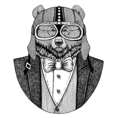 Kuzey Amerika boz ayısı büyük vahşi ayı hayvan giyen ceketle papyon ve motosiklet kask ya da aviatior kask. Şık motorcu, motosiklet binici, havacı. Dövme, t-shirt, amblem, rozet, logo, yama için görüntü