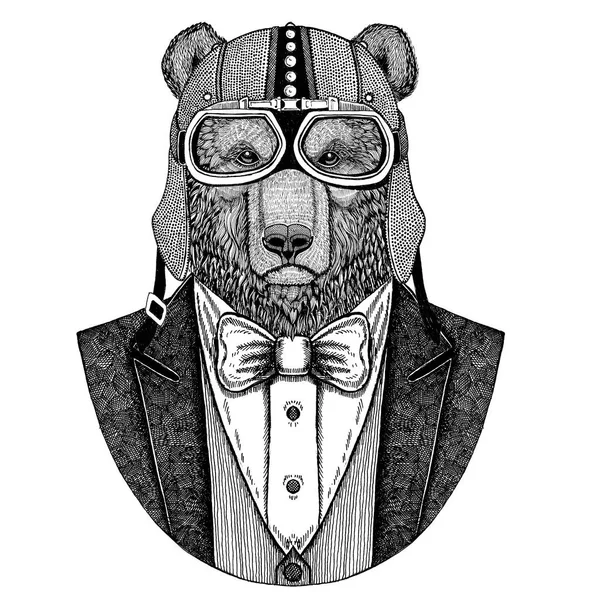 브라운 곰입니다. 러시아 곰입니다. 나비 넥타이 자전거 헬멧 aviatior 헬멧와 자 켓을 입고 동물. 우아한 자전거, 기관 자 전차 라이더 손으로 그린 이미지를 문신, t 셔츠, 휘장, 배지, 로고, 패치 — 스톡 사진