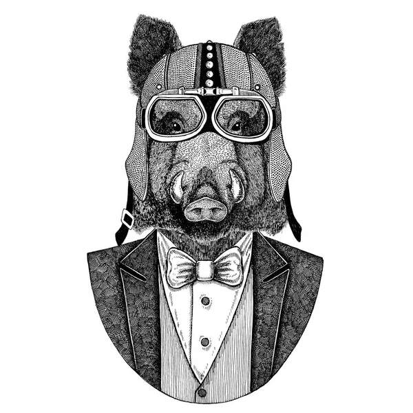 Aper, boar, hog, wild boar, aper. Animal wearing jacket with bow-tie and biker helmet or aviatior helmet. Elegant biker, motorcycle rider. Image for tattoo, t-shirt, emblem, badge, logo, patches — Stock Photo, Image