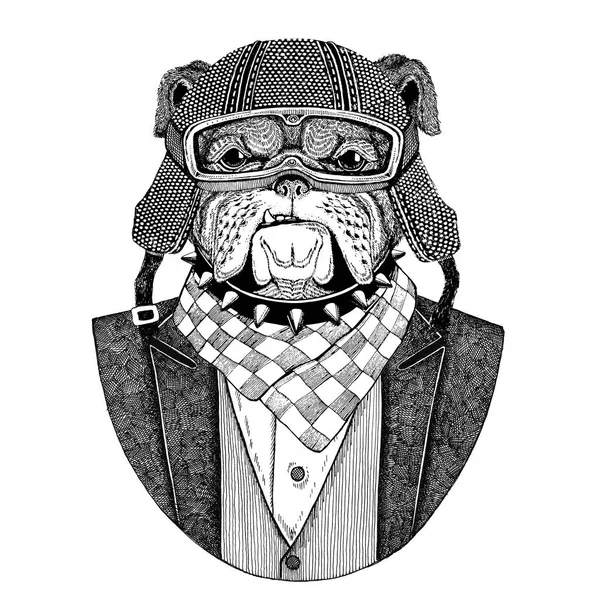 Bulldog, hond. Dier vest met ' bow-tie en biker helm of aviatior helm dragen. Elegante biker, motorrijder. Afbeelding voor tattoo, t-shirt, embleem, badge, logo, patch — Stockfoto