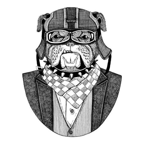 Bulldog, amico. Giacca con papillon e casco biker o casco aviatior. Biker elegante, motociclista. Immagine per tatuaggio, t-shirt, emblema, distintivo, logo, patch — Foto Stock